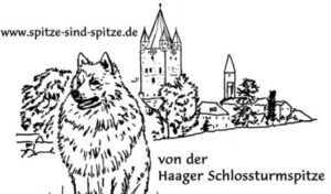 Logo von der Haager Schlossturmspitze