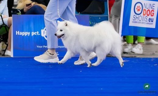 Bernardo di Paranor, WDS 2024 Zagreb, IMG-20240430-WA0005