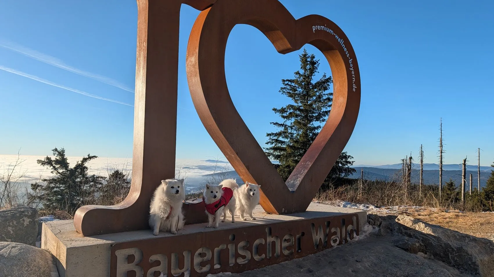 auf dem Dreisessel im Winter 2025 mit Benika, Asuna, Bernardo