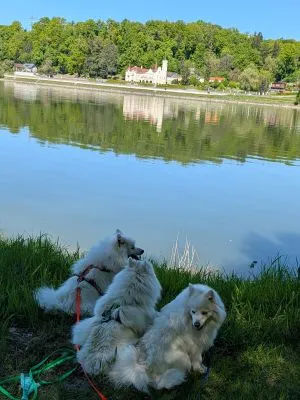 Ausflug an die Donau, Österreich.