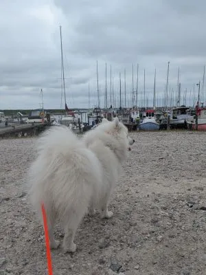 Urlaub in Dänemark
